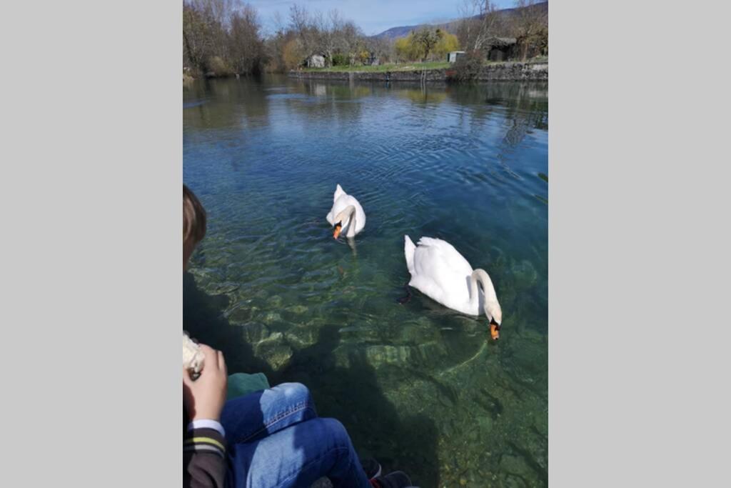 Le Portougais, Chalet A Chanaz, La Petite Venise Savoyarde מראה חיצוני תמונה