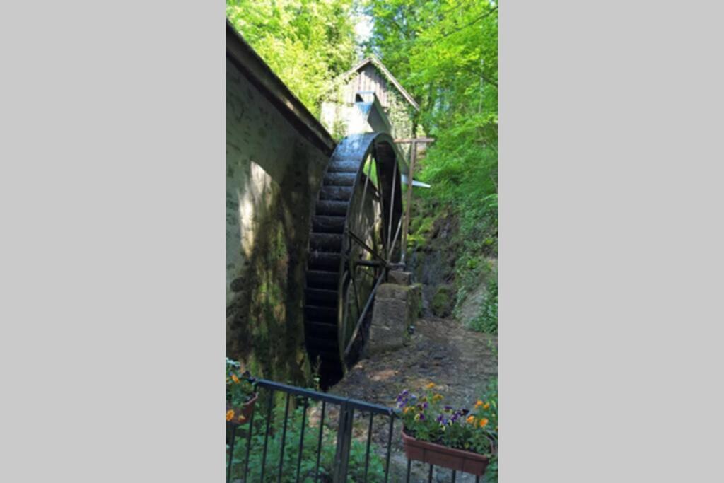 Le Portougais, Chalet A Chanaz, La Petite Venise Savoyarde מראה חיצוני תמונה